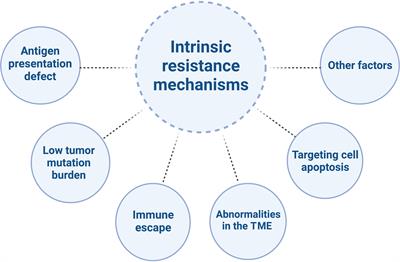 It’s high-time to re-evaluate the value of induced-chemotherapy for reinforcing immunotherapy in colorectal cancer